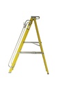 PROPF Ladder - Platform Ladder