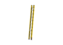 FRP (Fiberglass) Wall Support Extension Ladder